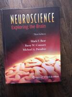 Neuroscience - exploring the brain
