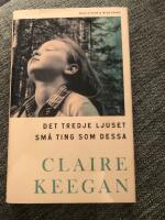 Det tredje ljuset ; Sm&aring; ting som dessa