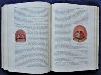 Handw&ouml;rterbuch Der Gesamten Zahnheilkunde. Band I. A-F. Band II. G-K. Band III L-R. Band IV S-Z. 