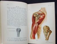 Atlas und Grundriss der traumatischen Frakturen und Luxationen. (Lehmann´s Medicin. Handatlanten. Band VIII.)