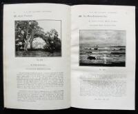 Catalouge of the Art Gallery