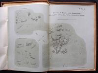 H&auml;llristningar fr&aring;n Bohusl&auml;n (Sverige). Glyphes des rochers du Bohusl&auml;n (Su&egrave;de)