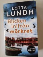 Blicken inifr&aring;n m&ouml;rkret