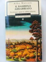 Il bambino arrabiato