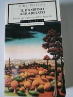 Il bambino arrabiato