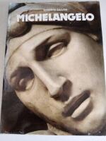 Michelangelo