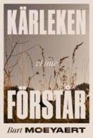 K&auml;rleken vi inte f&ouml;rst&aring;r