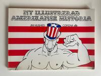 Ny illustrerad amerikansk historia