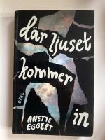 D&auml;r ljuset kommer in