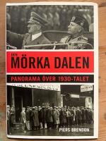 Den m&ouml;rka dalen : Panorama &ouml;ver 1930-talet