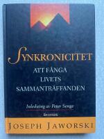Synkronicitet: att f&aring;nga livets sammantr&auml;ffanden