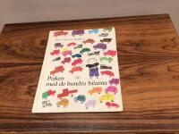 Pojken med de hundra bilarna