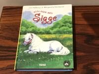 Ridl&auml;ger med Sigge