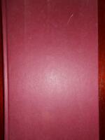 Bottengl&auml;djen : En bok om Majken Johansson