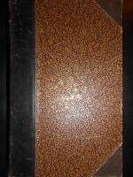 H&ouml;gmesso-predikningar &ouml;fwer de &aring;rliga s&ouml;n- och helgedags-texterna