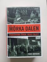 Den m&ouml;rka dalen : Panorama &ouml;ver 1930-talet