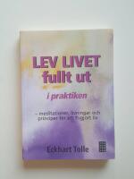 Lev livet fullt ut i praktiken : meditationer, övningar och principer för