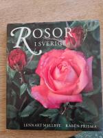 Rosor i Sverige