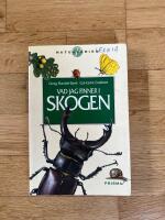 Vad jag finner i skogen