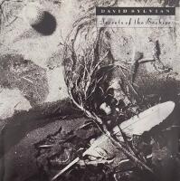 Secrets of the Beehive