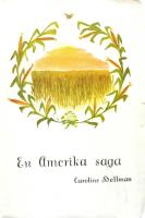 En Amerika saga
