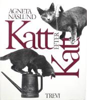 Katt efter katt