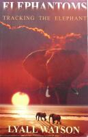 Elephantoms. Tracking the Elephant