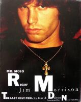 Mr. Mojo Risin': Jim Morrison, the Last Holy Fool