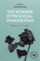 Vad kommer efter socialdemokratin? : tankar om 20-talet