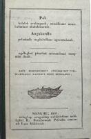 Pok Angakordlo. Pok, en Gr&oslash;nl&aelig;nder, som har reist og ved sin Hjemkomst fort&aelig;ller derom til sine Landsm&aelig;nd.; Angekokken som m&oslash;der pr&aelig;sten og diskuterer med ham  