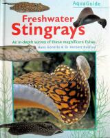 Freshwater Stingray: An In-Depth Survey of These Magnificent Fishes 