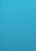 Georg Baselitz + Carl Fredrik Hill. September 1995 - januari 1996. 