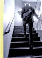 Trappsniglar : en bok om brevb&auml;rare