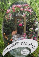 Vilse Alfe
