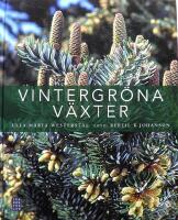 Vintergr&ouml;na v&auml;xter