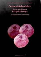 &Ouml;resundsf&ouml;rbindelsen. Fosie 11A-D samt Brol&auml;ge Larsbov&auml;gen. Rapport &ouml;ver arkeologisk slutunders&ouml;kning