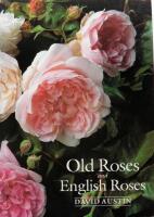 Old roses and English roses