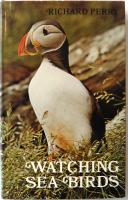 Watching Sea Birds