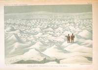 Om sn&ouml;ns och isens flora, s&auml;rskildt i de arktiska trakterna