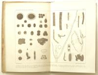 Om sn&ouml;ns och isens flora, s&auml;rskildt i de arktiska trakterna