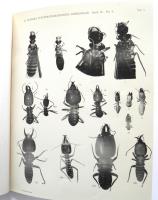 Termitenstudien. 3. Systematik der Termiten. Die Familie Metatermitid&aelig;