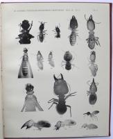 Termitenstudien. 3. Systematik der Termiten. Die Familie Metatermitid&aelig;