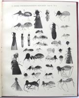 Termitenstudien. 3. Systematik der Termiten. Die Familie Metatermitid&aelig;