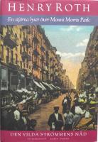 En stj&auml;rna lyser &ouml;ver Mount Morris park