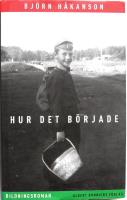 Hur det b&ouml;rjade : bildningsroman