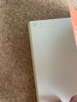 Recension : en samtidsroman