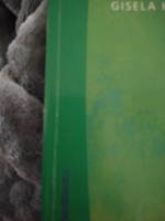 Tv&aring;spr&aring;kighet hos barn i Sverige