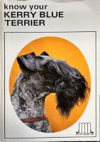 know your KERRY BLUE TERRIER