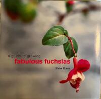 A guide to growing fabulous fuchsias