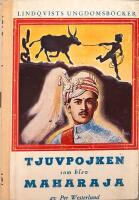 Tjuvpojken som blev maharaja